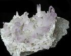 Spectacular Amethyst Crystal Cluster - Las Vigas, Mexico #31946-1